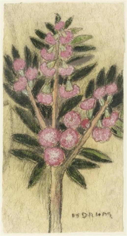 Flowering branch by Helen Dahm