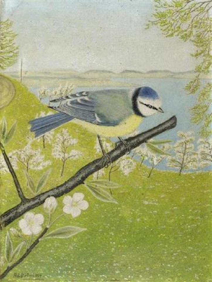 Blue tit in May by Adolf Dietrich