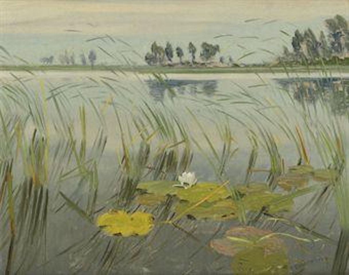 Waterlilies in the Loosdrechtse plassen by Dirk Smoorenberg