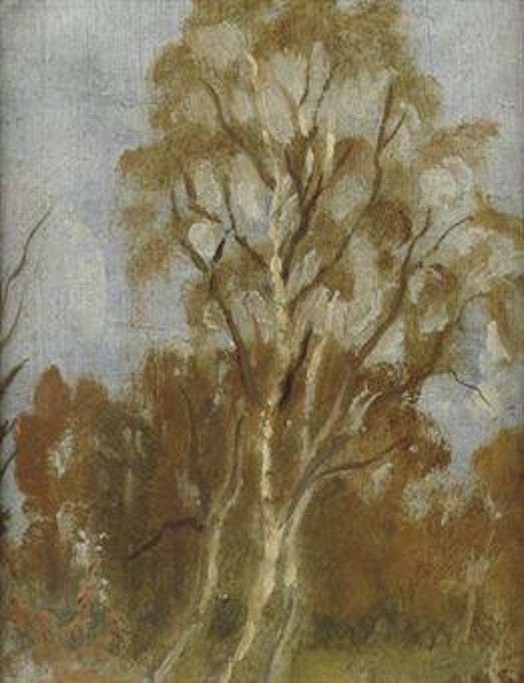 Berken studie: birches in a landscape by Dirk Smoorenberg