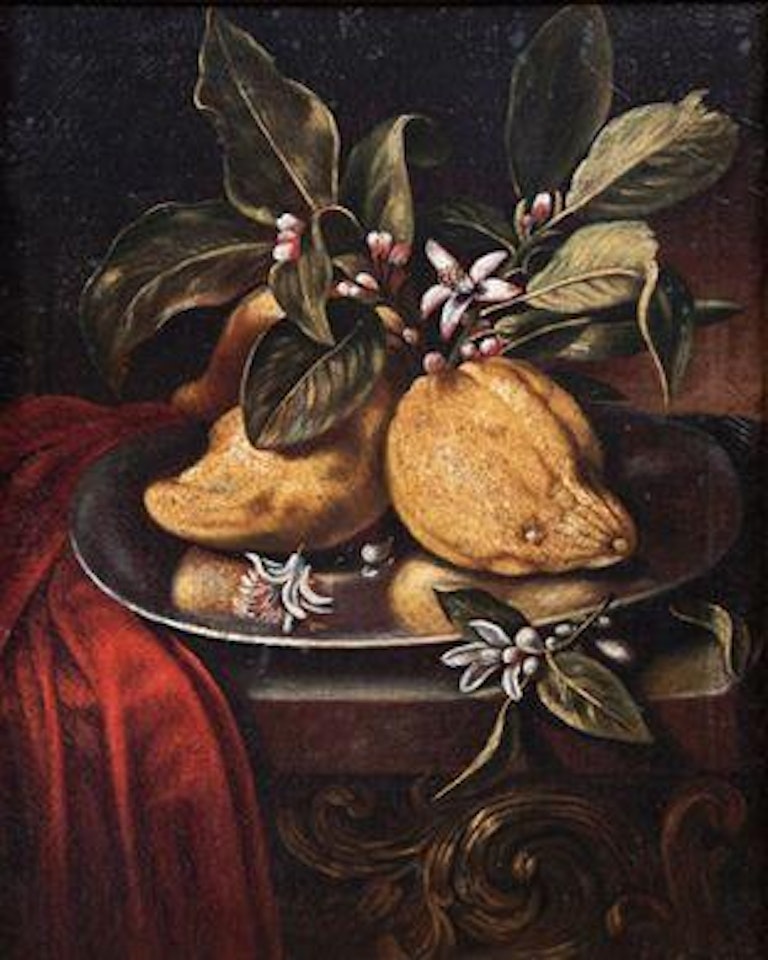 Lemons on a plate. Pears and other fruit on a plate. Apples on a plate with a bird. White and red grapes and cherries on a plate by Roman School