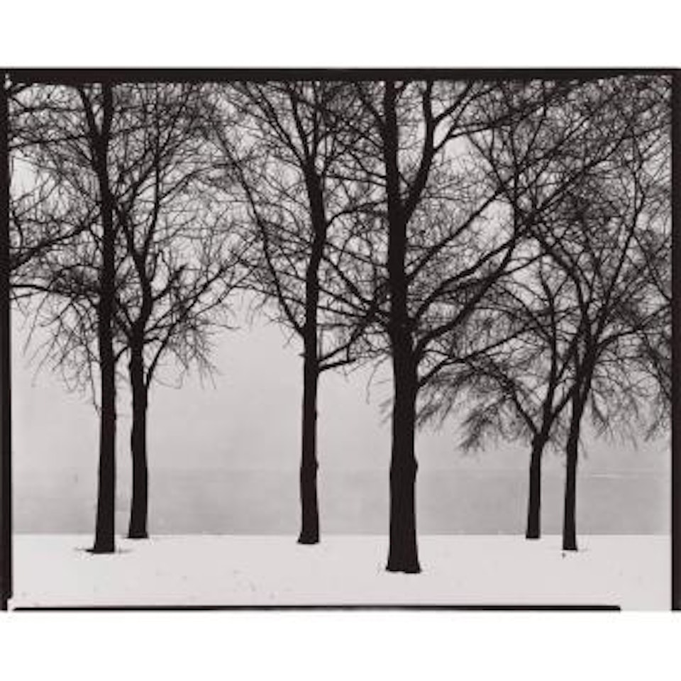 Chicago by Harry Callahan