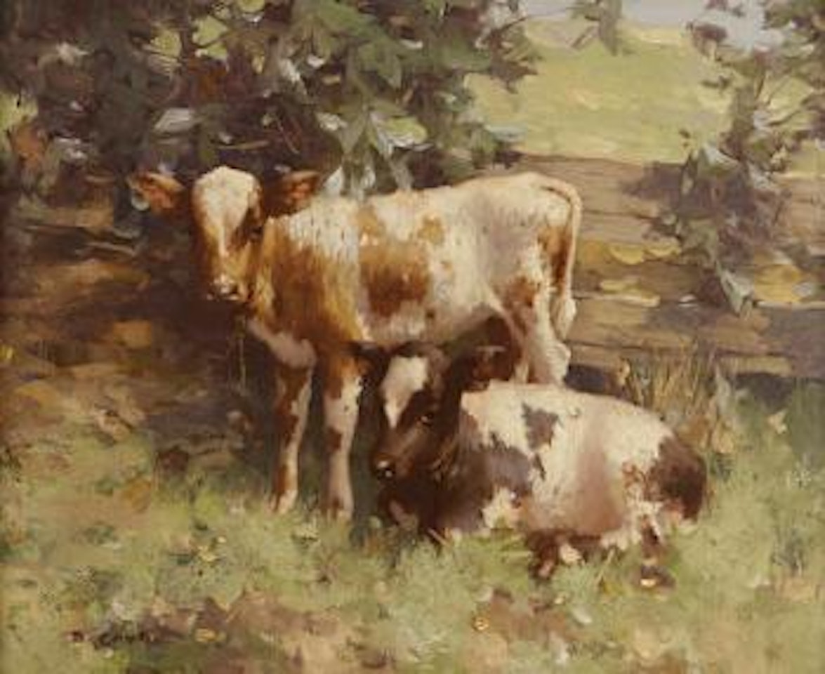 Two calves by David Gauld