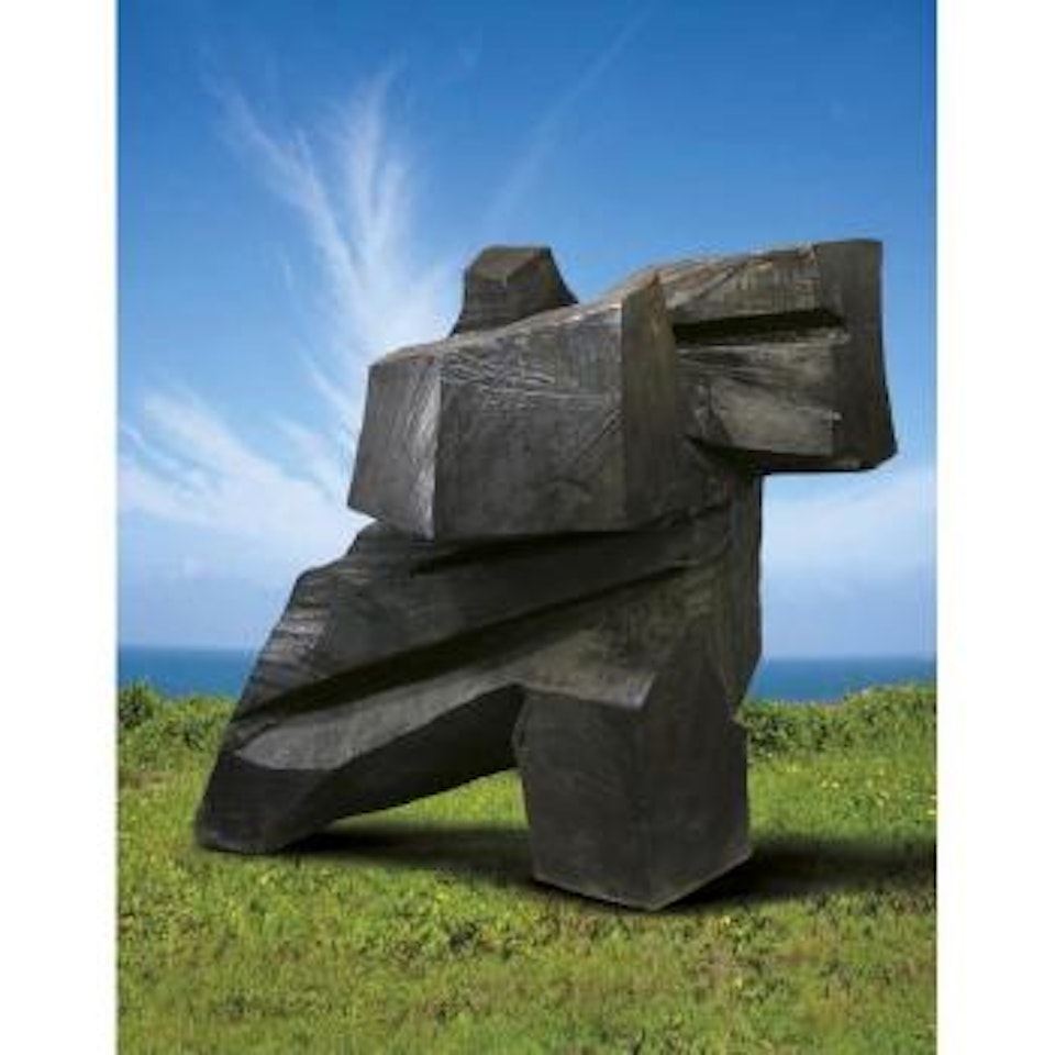 Taichi Series: Taichi Thrust by Ju Ming