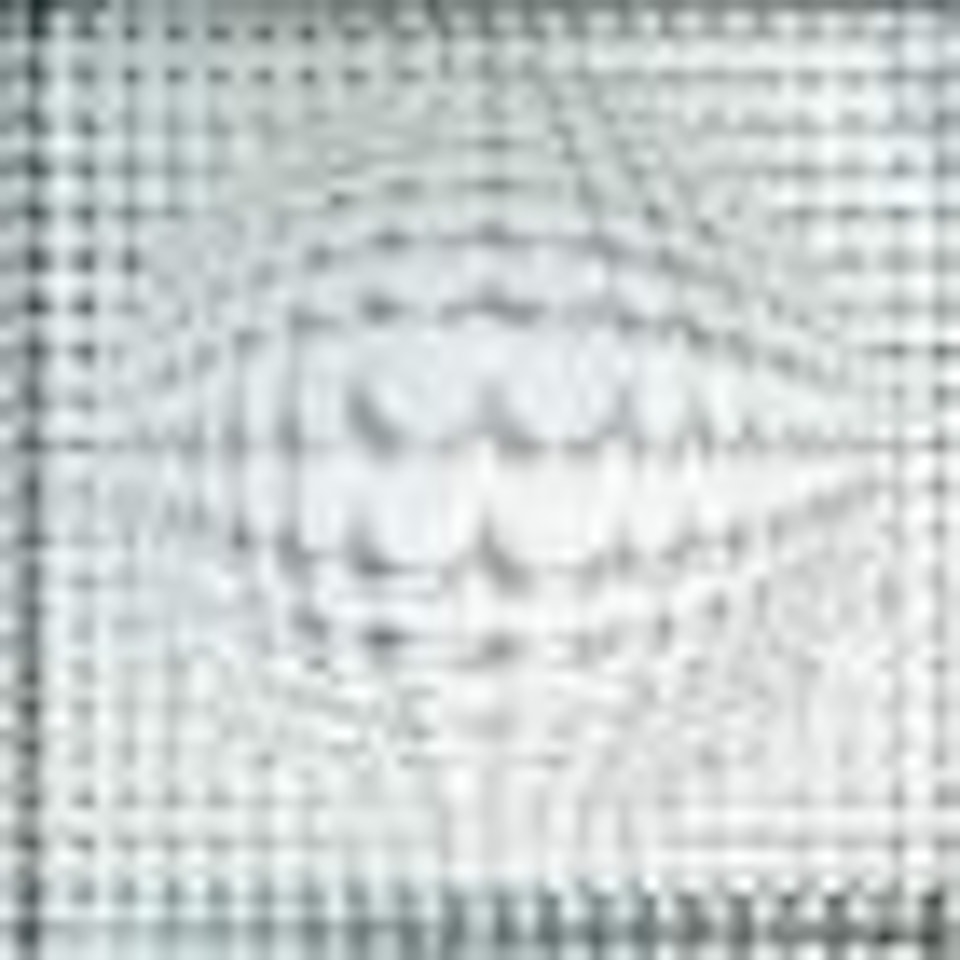 Vega-mir by Victor Vasarely