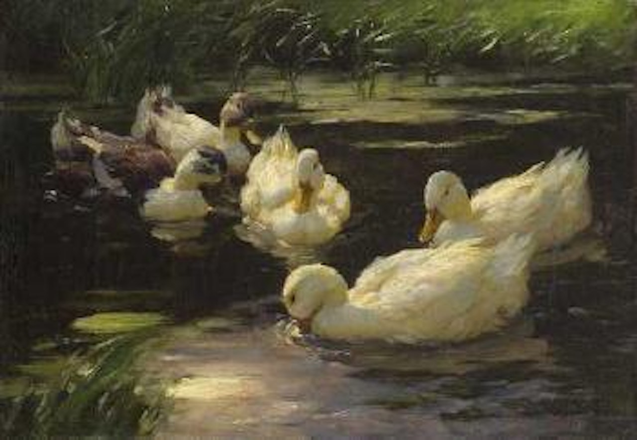 Funf Enten im Schilfteich by Alexander Koester
