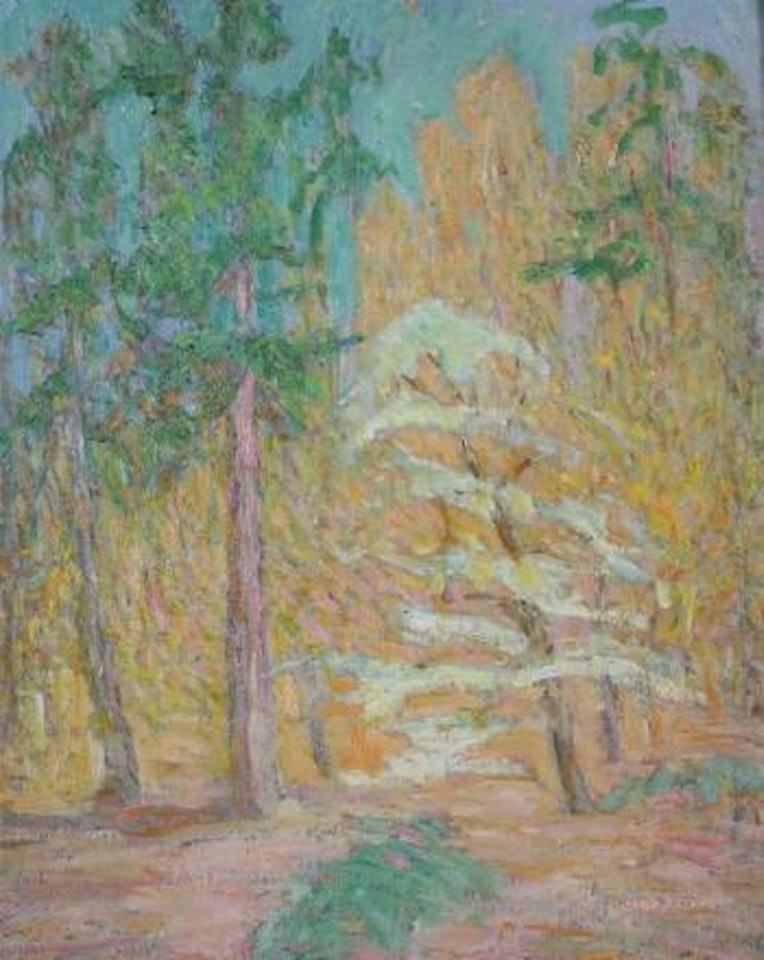 Wooded landscape by Jane Peterson