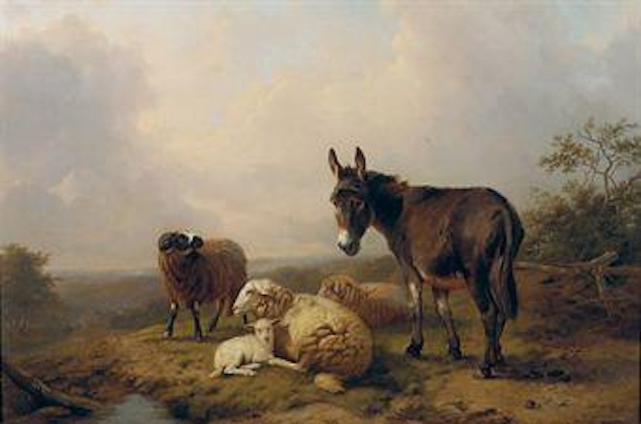 A donkey and sheep on a hilltop by Eugène Joseph Verboeckhoven