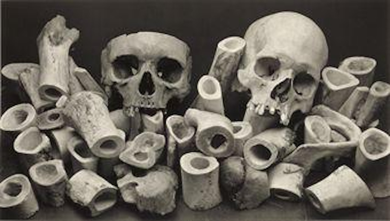 Bone Forest by Irving Penn