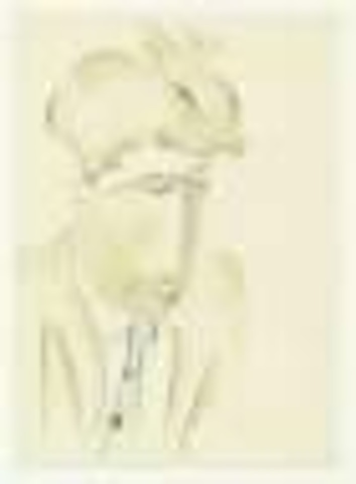 Portrait d'homme (presume Jean Cocteau) by Leonard Tsuguharu Foujita