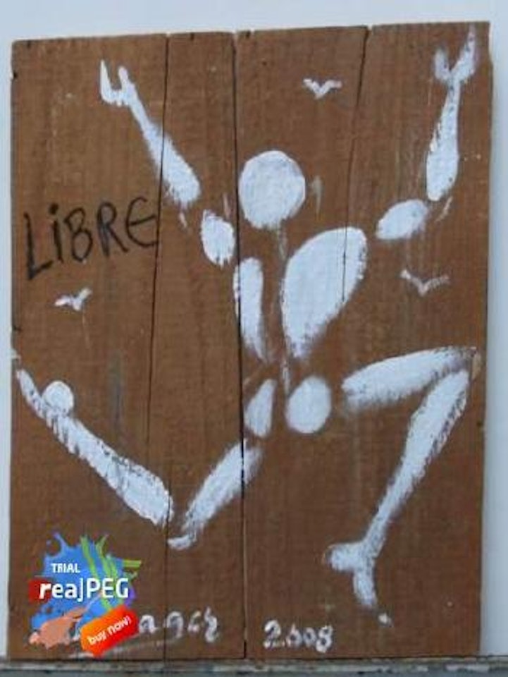 Libre by Jérôme Mesnager