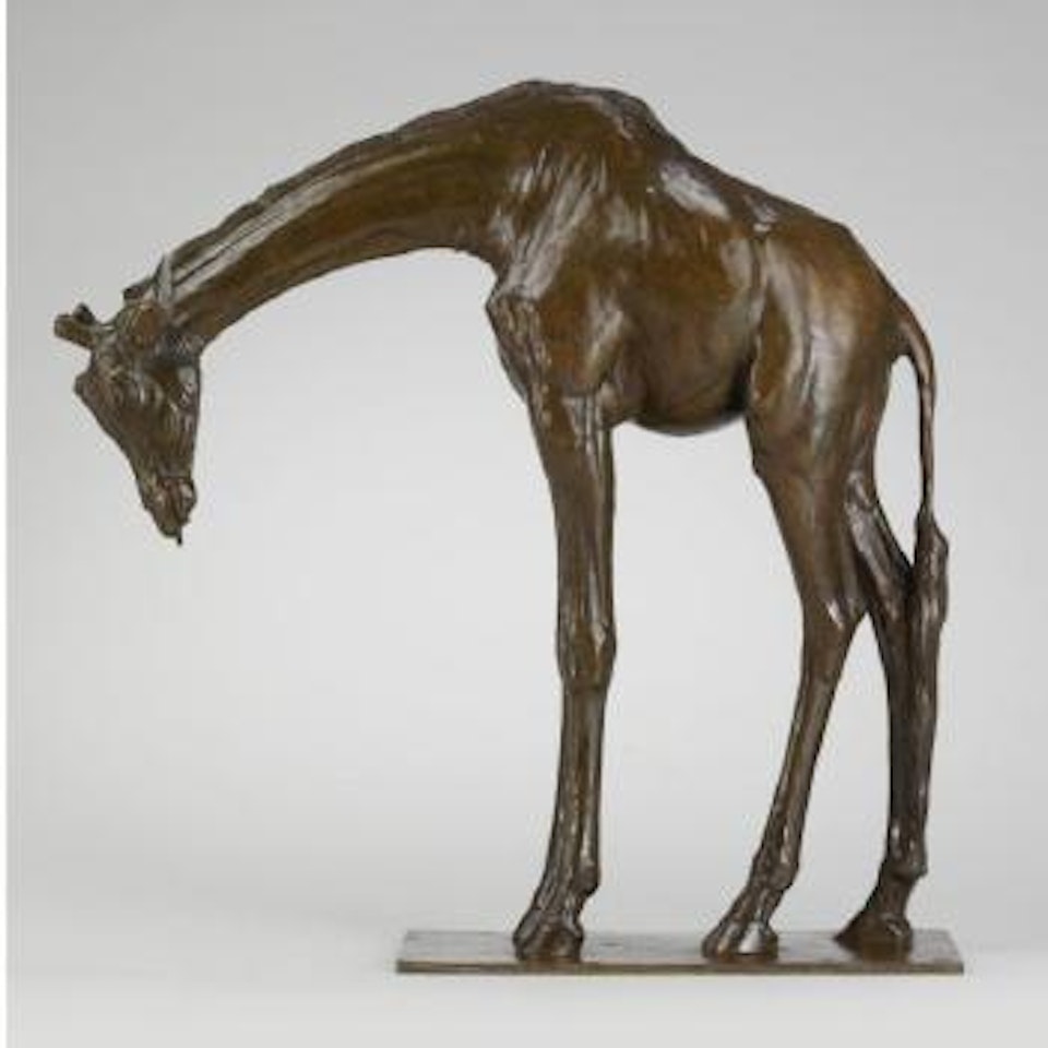 Grand Girafe Tête Basse by Rembrandt Bugatti