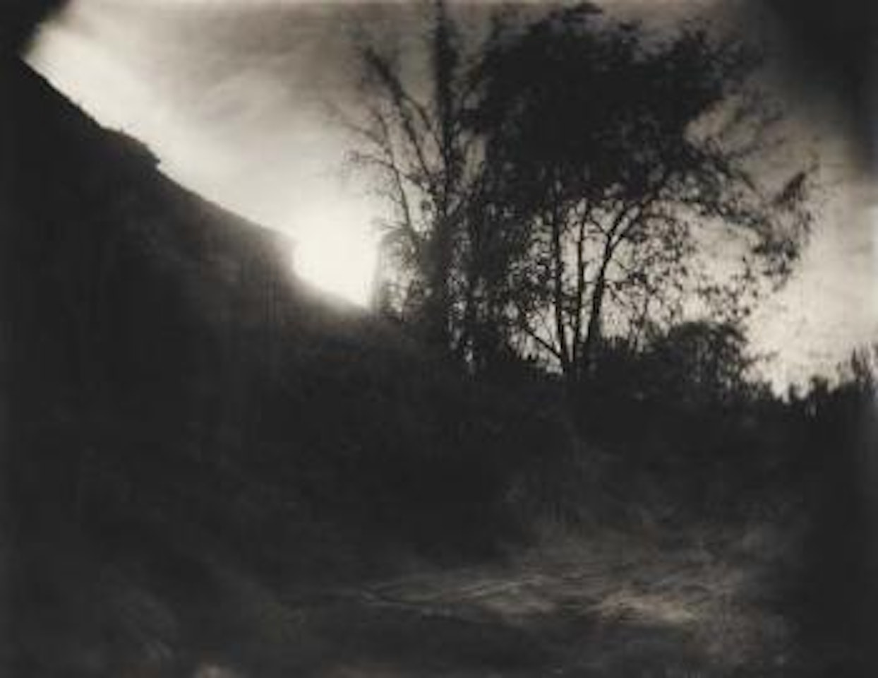 Untitled (Georgia) from Mother Land by Sally Mann