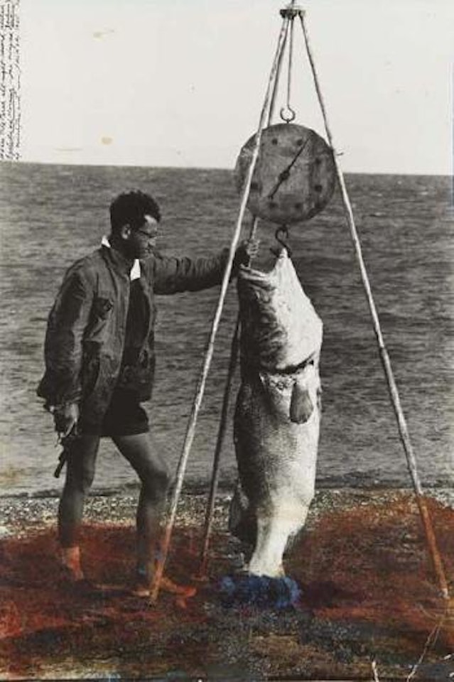 Eyelids of morning by Peter Beard