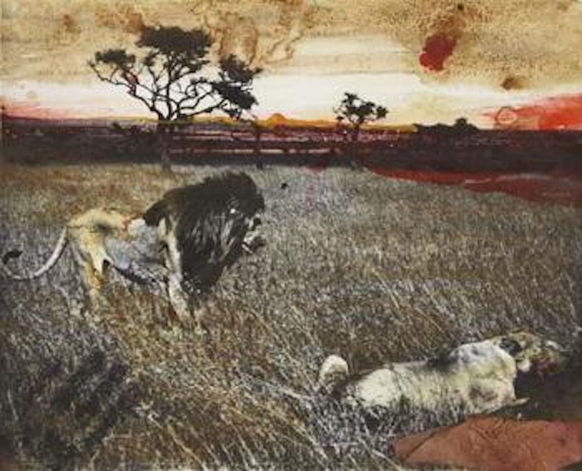 Serengeti by Peter Beard
