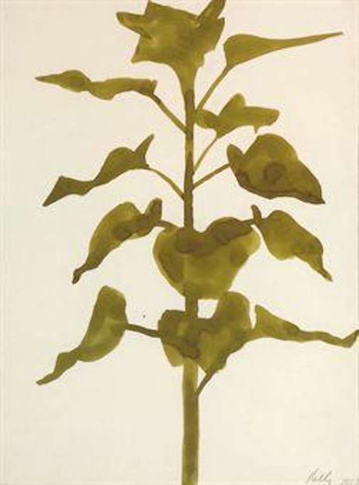 Untitled by Ellsworth Kelly
