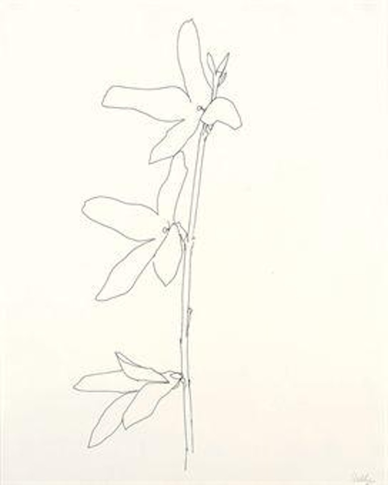 Forsythia by Ellsworth Kelly