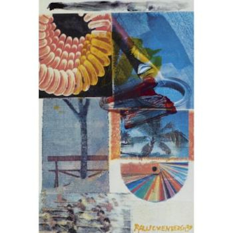Garden-wise III #1 by Robert Rauschenberg