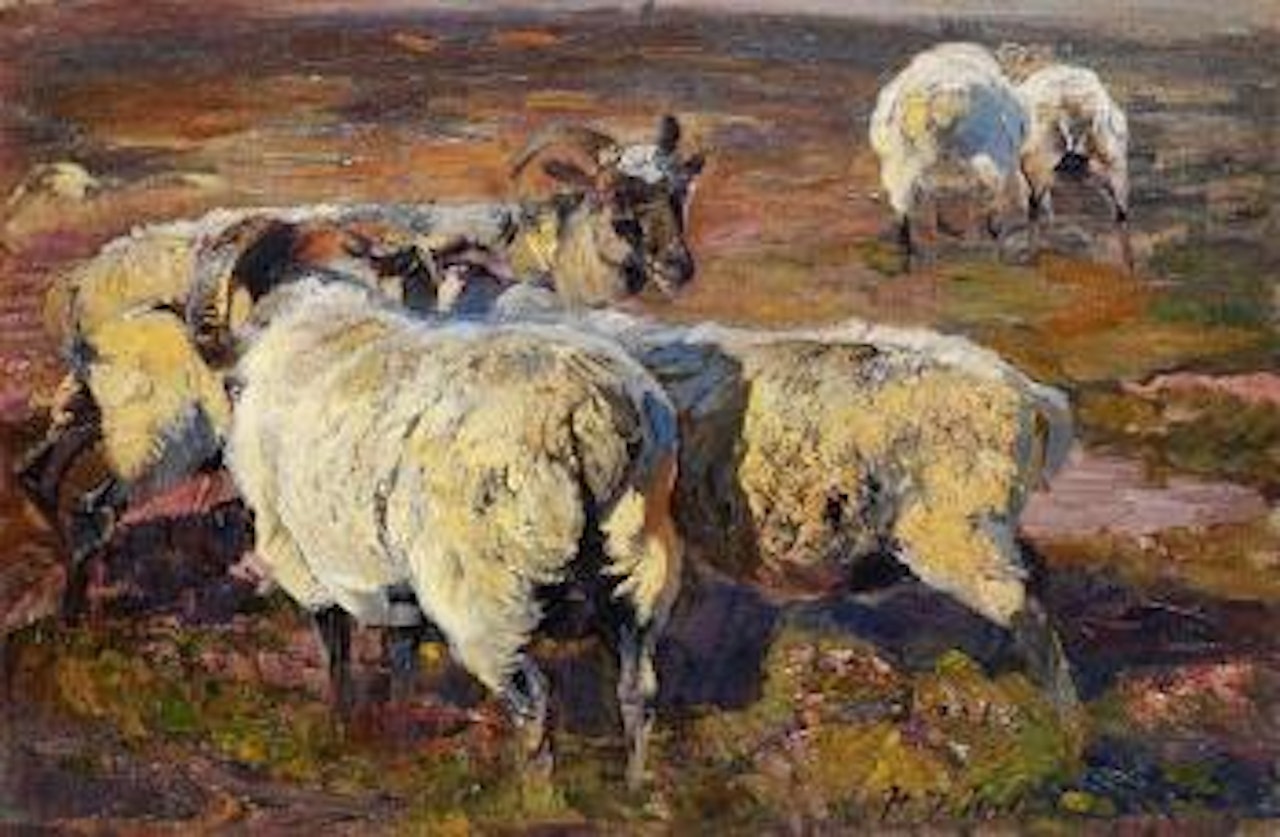 Heidschnucken by Heinrich von Zugel