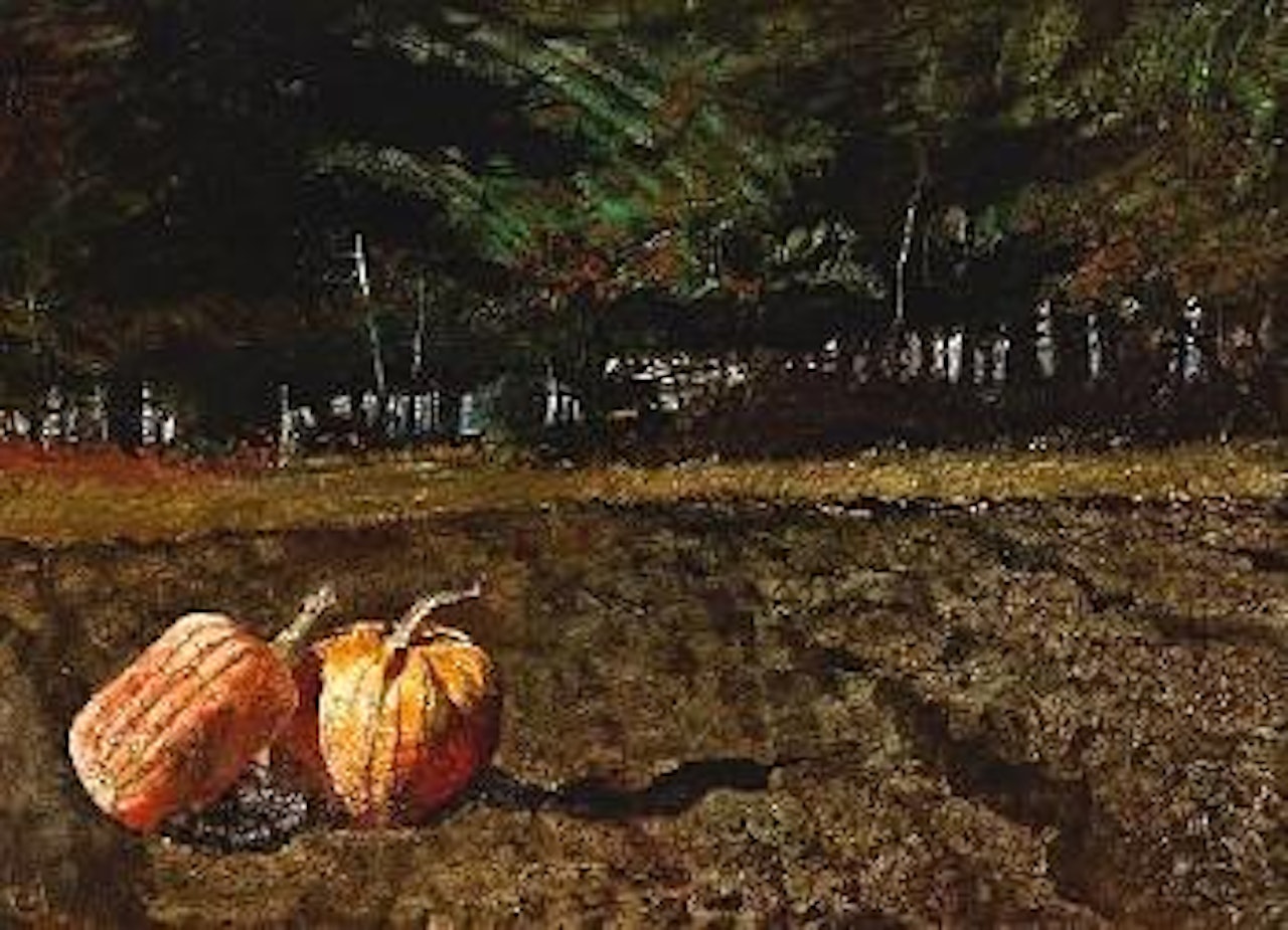 Late harvest by Andrew Wyeth