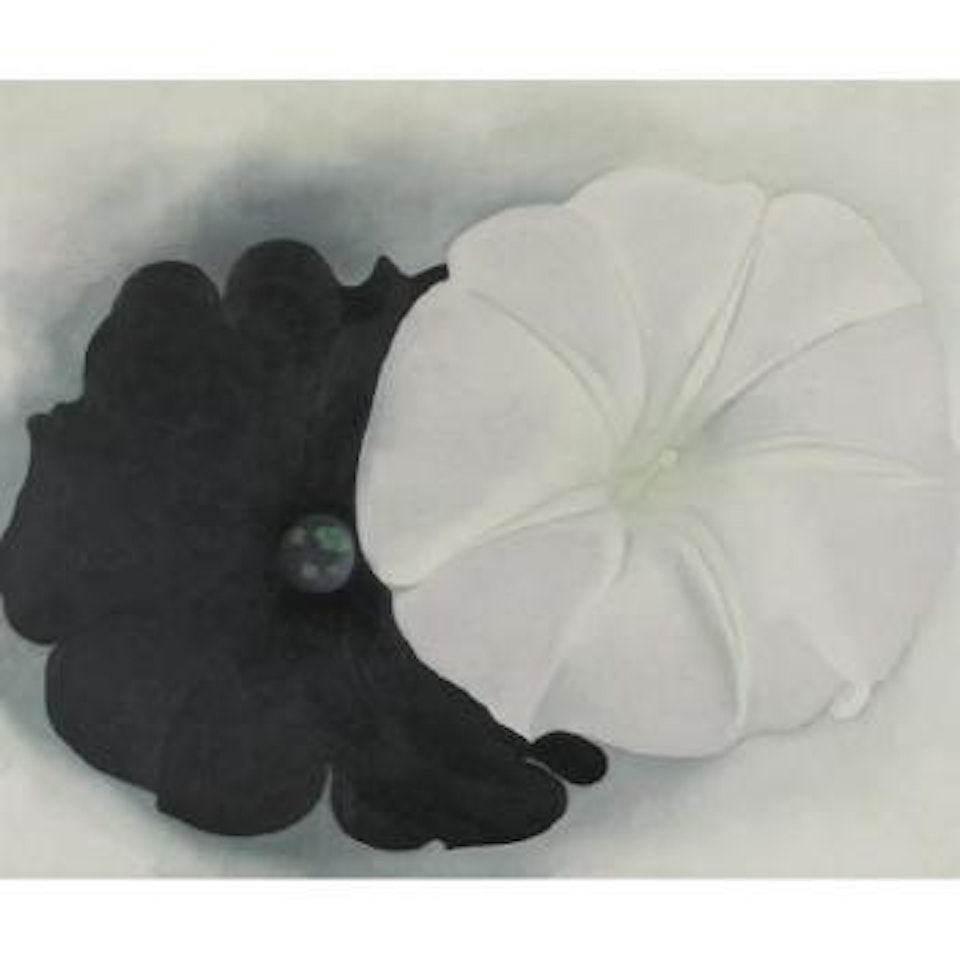 Black Petunia And White Morning Glory I by Georgia O'Keeffe