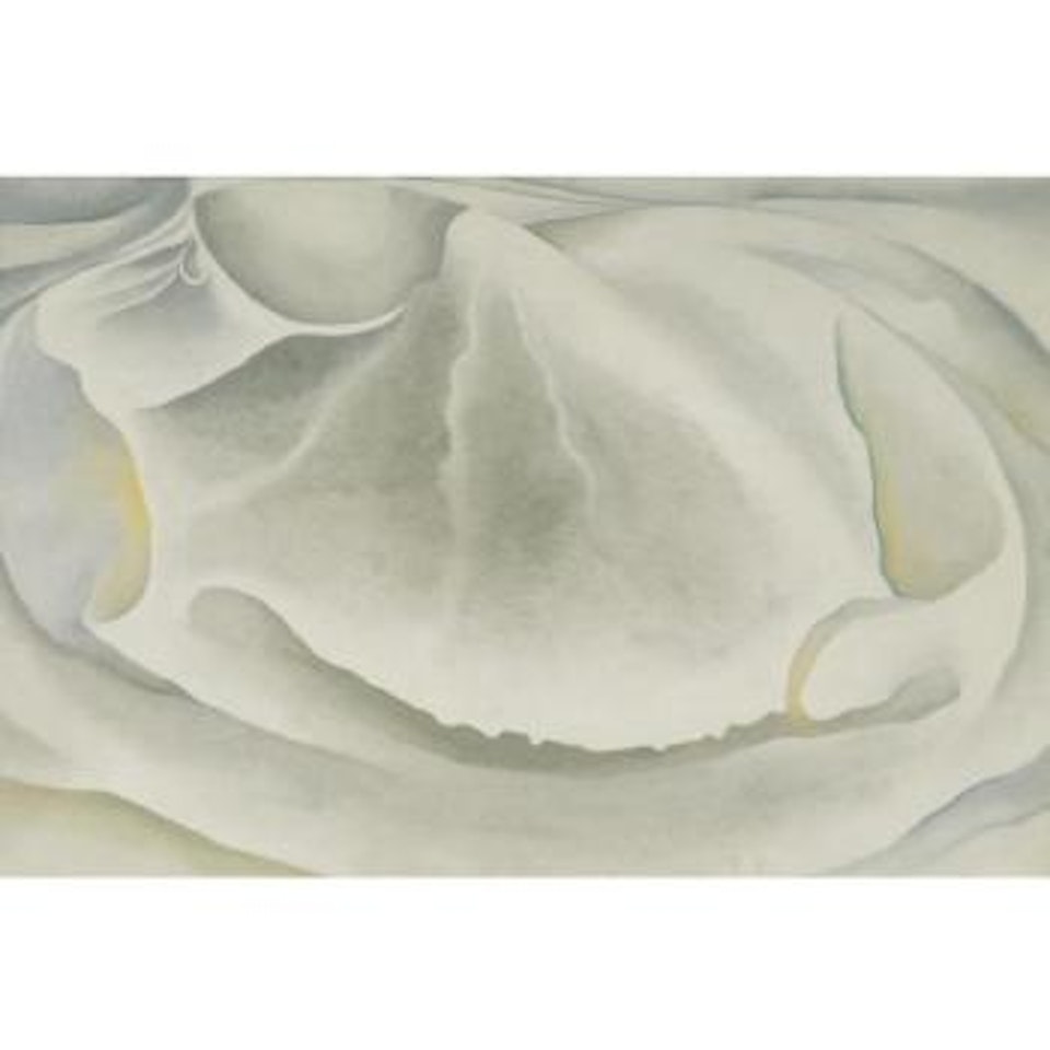 Inside Clam Shell by Georgia O'Keeffe