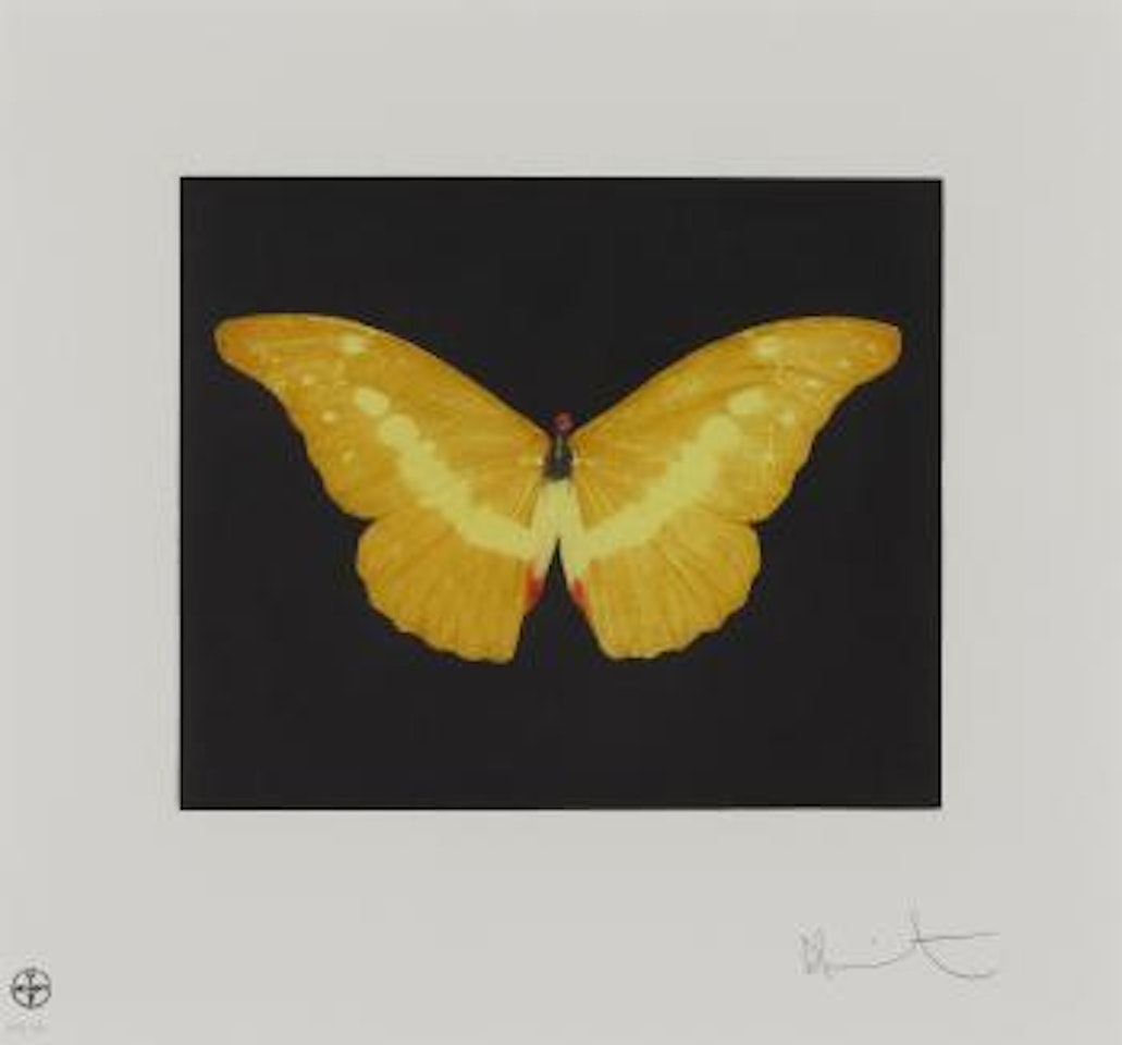 Yellow Butterfly (small) by Damien Hirst