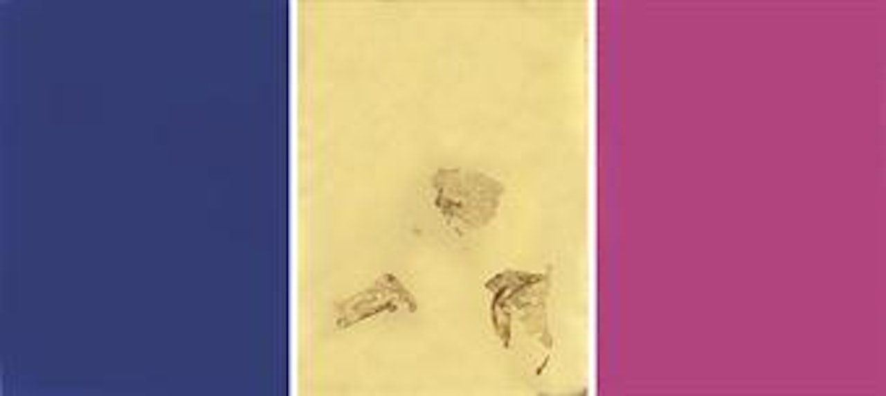 Monochrome und Feuer (triptych) by Yves Klein
