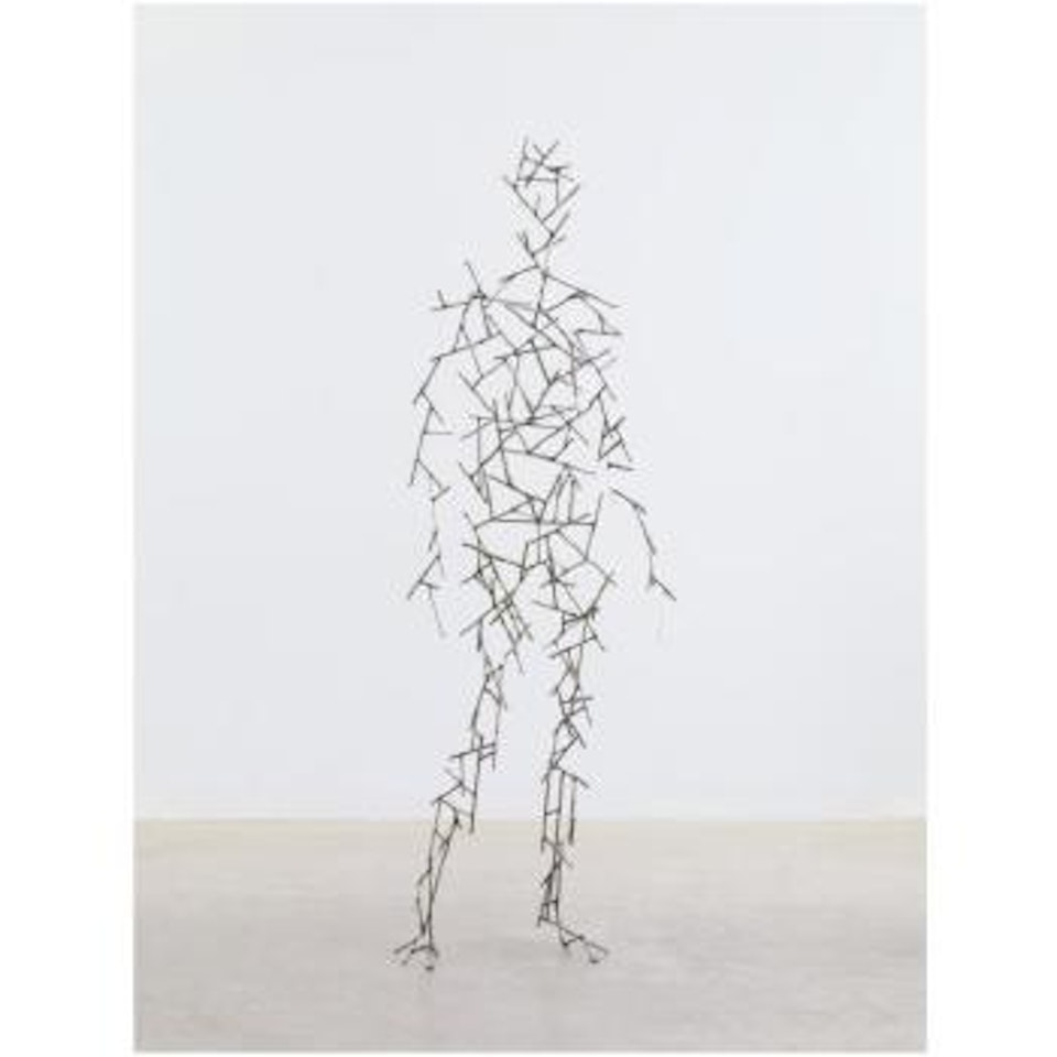 Domain LXXVII by Antony Gormley