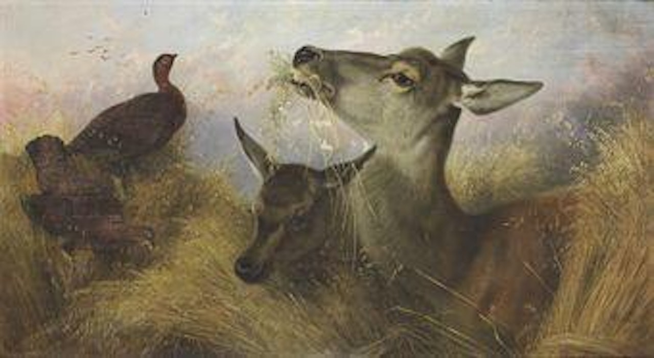 Deer and Grouse feeding in a field of barley by Richard Ansdell