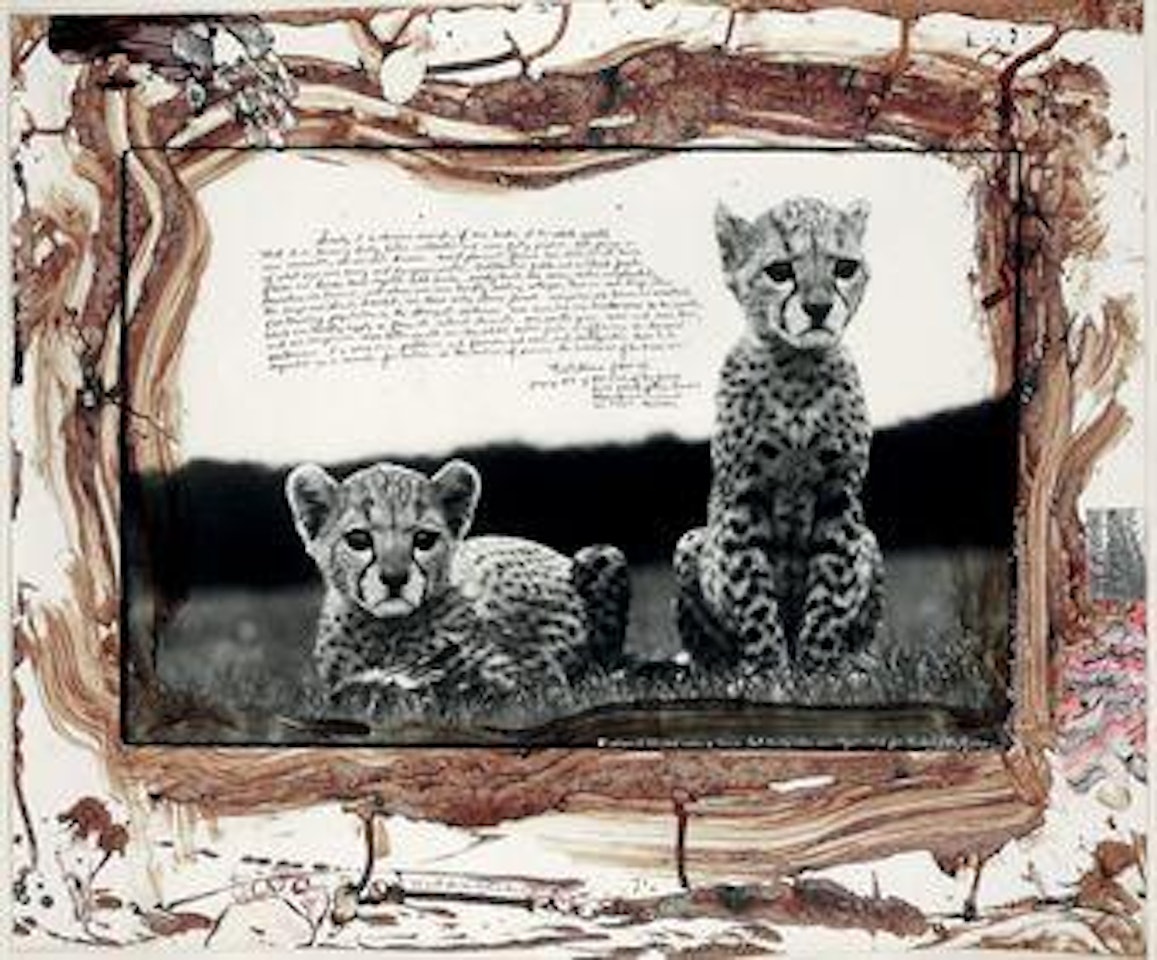 Orphaned Cheetah Cubs, from The End of the Game by Peter Beard