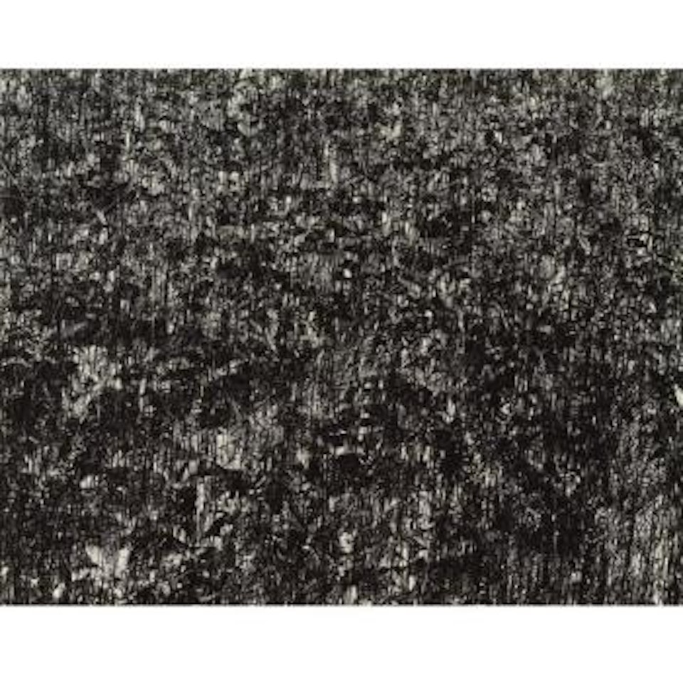 Port Huron by Harry Callahan