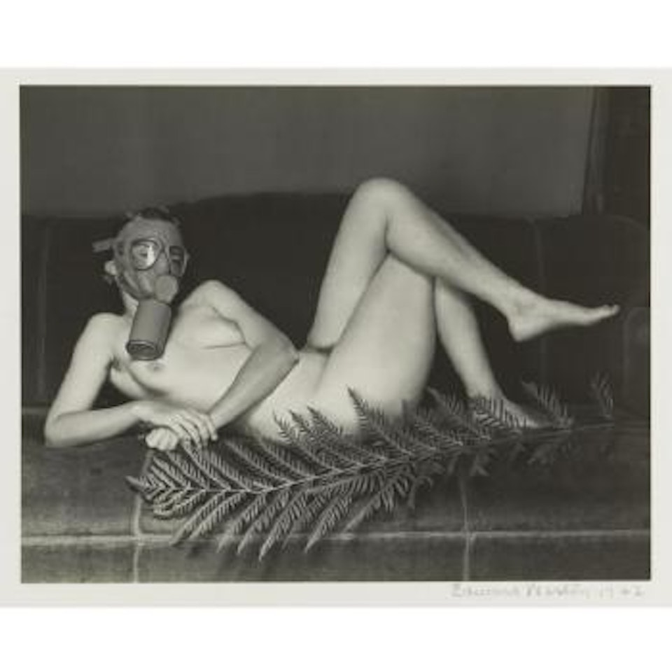 Civilian Defense by Edward Weston