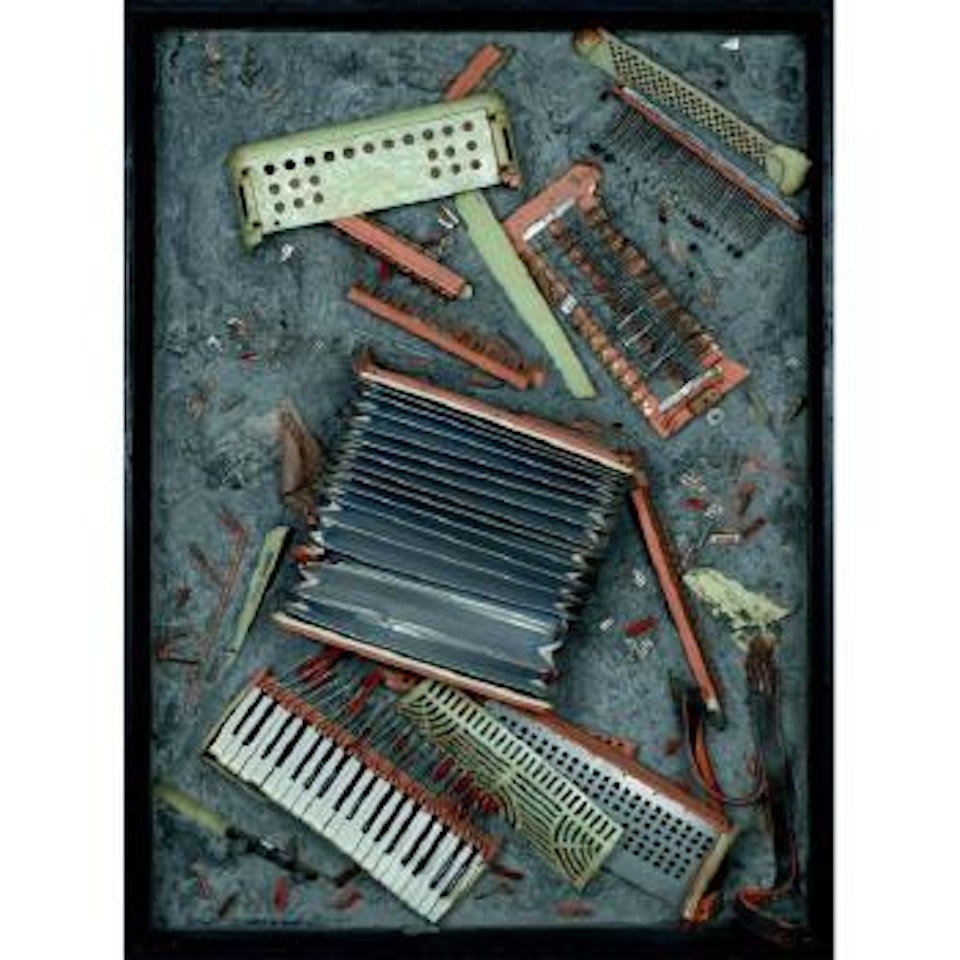 Discorded Accordion by Arman