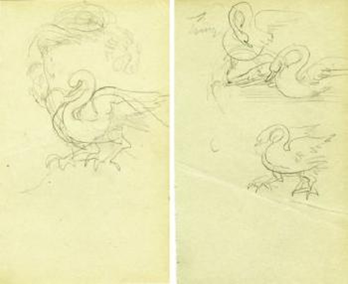 Étude de la chevelure pour le portrait de 'Madame Phillips', cygne by Salvador Dali