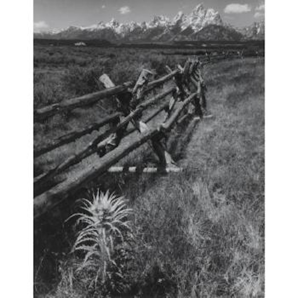 Rail Fence - Teton by Ansel Adams