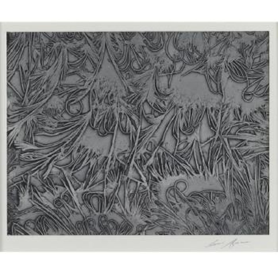 Sodium Sulfite Crystals (Evaporated In Tray) by Ansel Adams
