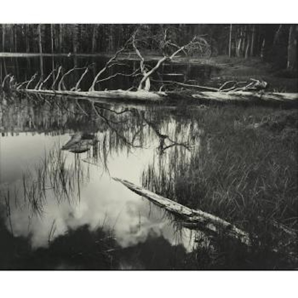 Siesta Lake, Yosemite National Park, California by Ansel Adams