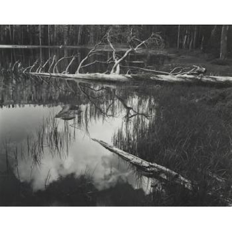 Siesta Lake, Yosemite National Park by Ansel Adams