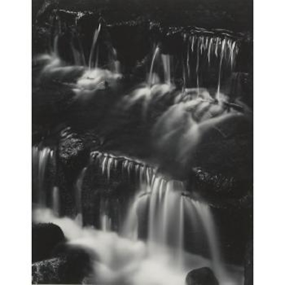 Fern, Spring, Yosemite Valley by Ansel Adams