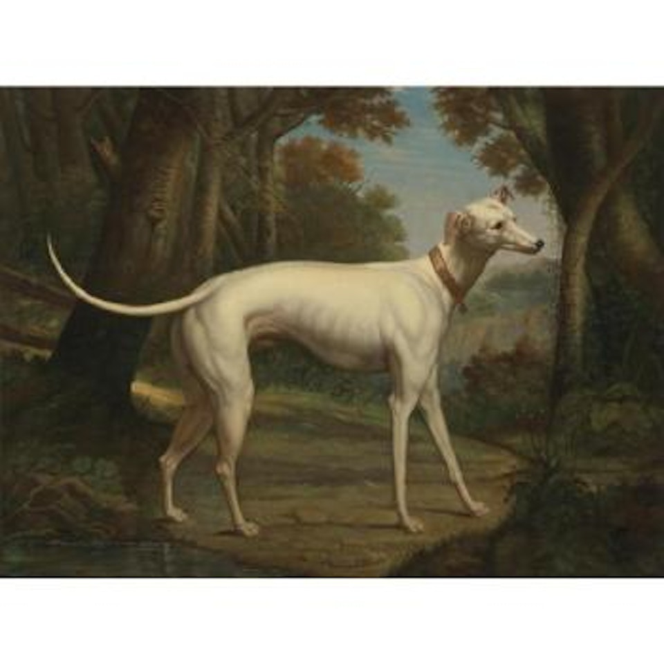 A Greyhound In A Landscape by French School