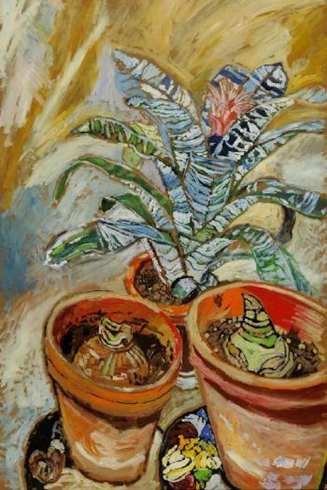 The aechimea plant by John Bratby