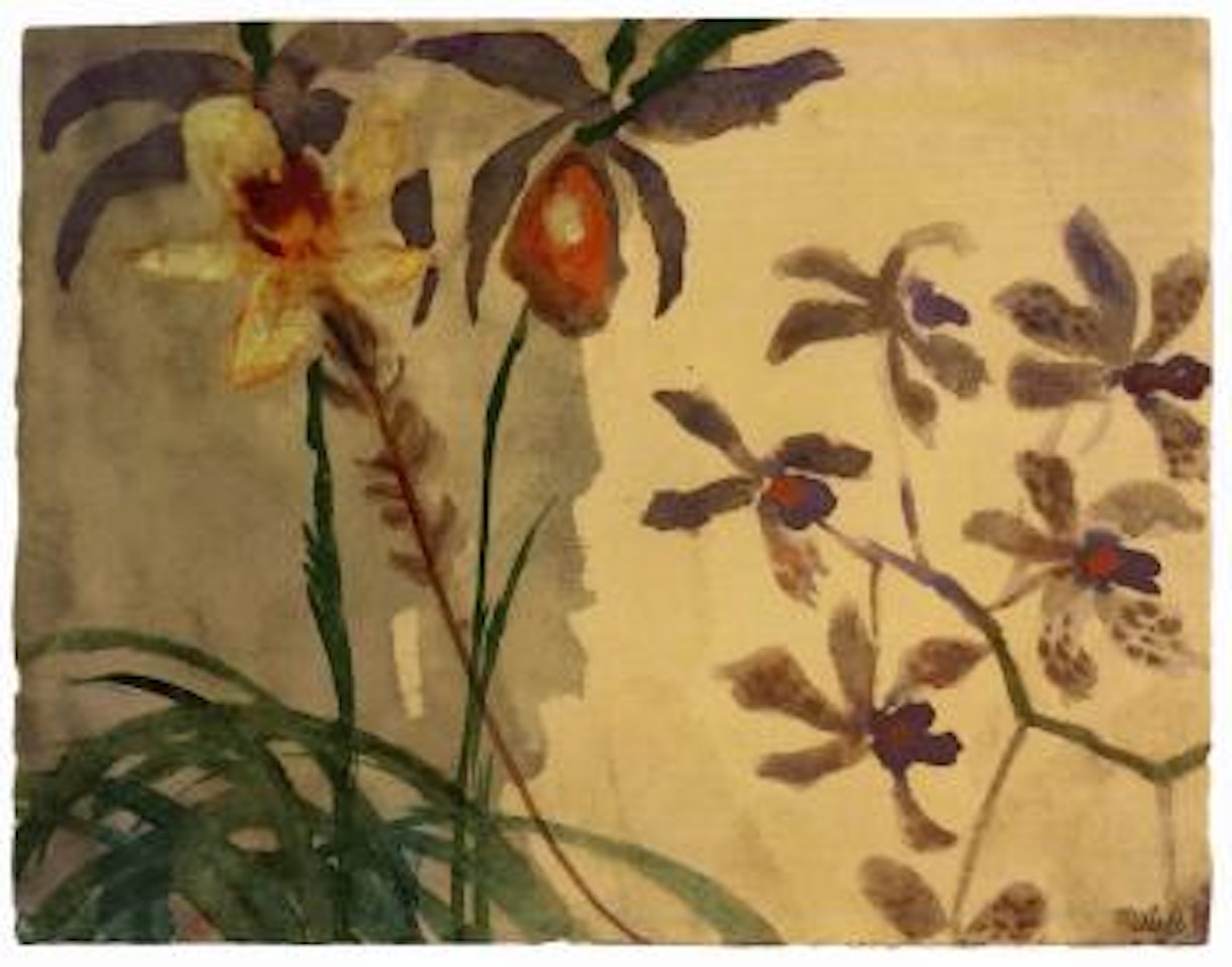 Orchideen by Emil Nolde