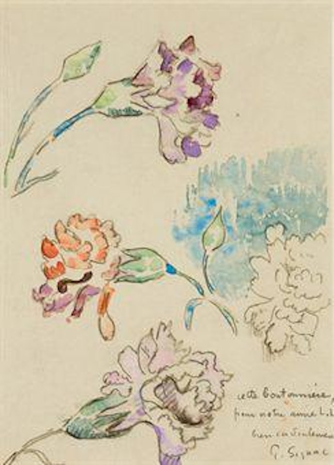 Etude d'oeillets by Paul Signac