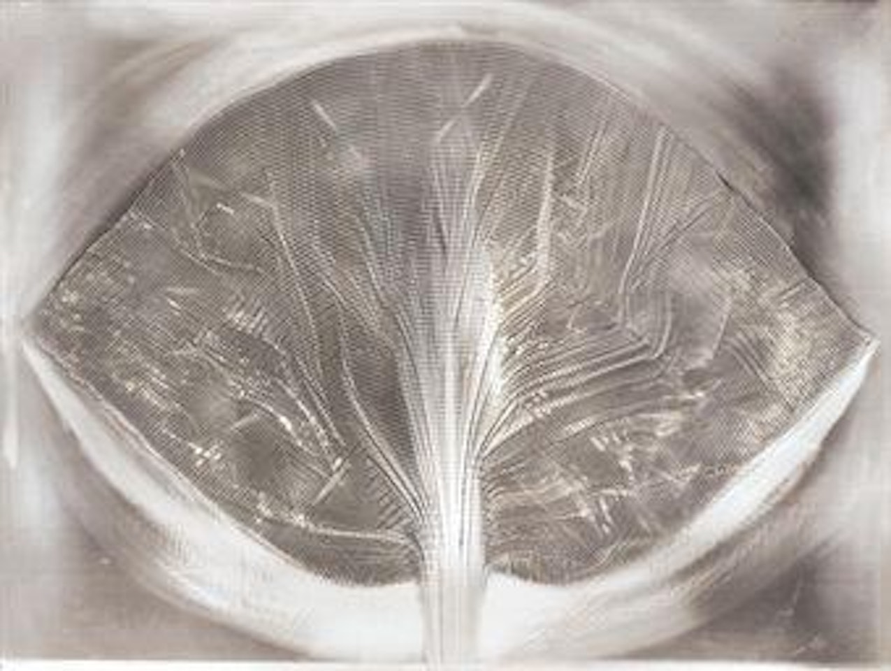 Folium Argentum by Heinz Mack