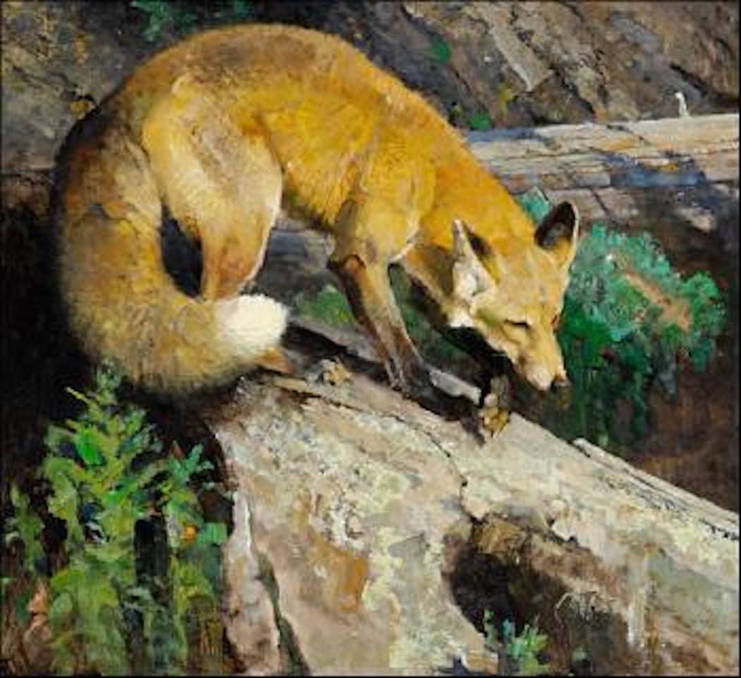 Reynard, the fox by Bob Kuhn
