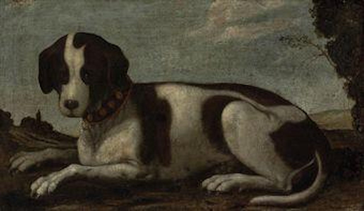 A hound in a wooded landscape by BOLOGNESE SCHOOL