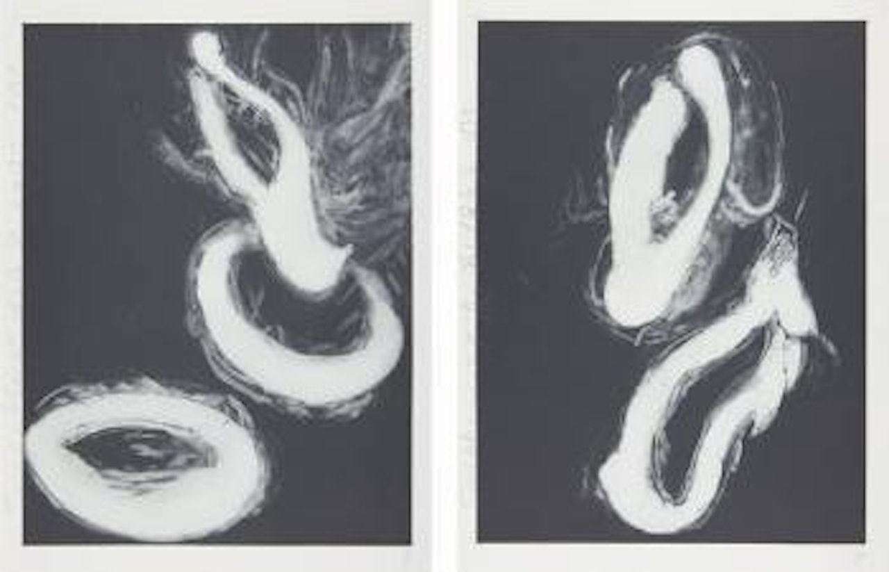 Smoke Rings by Donald Sultan