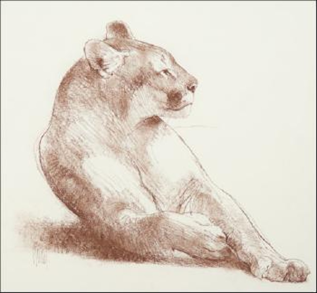 Cougar by Bob Kuhn