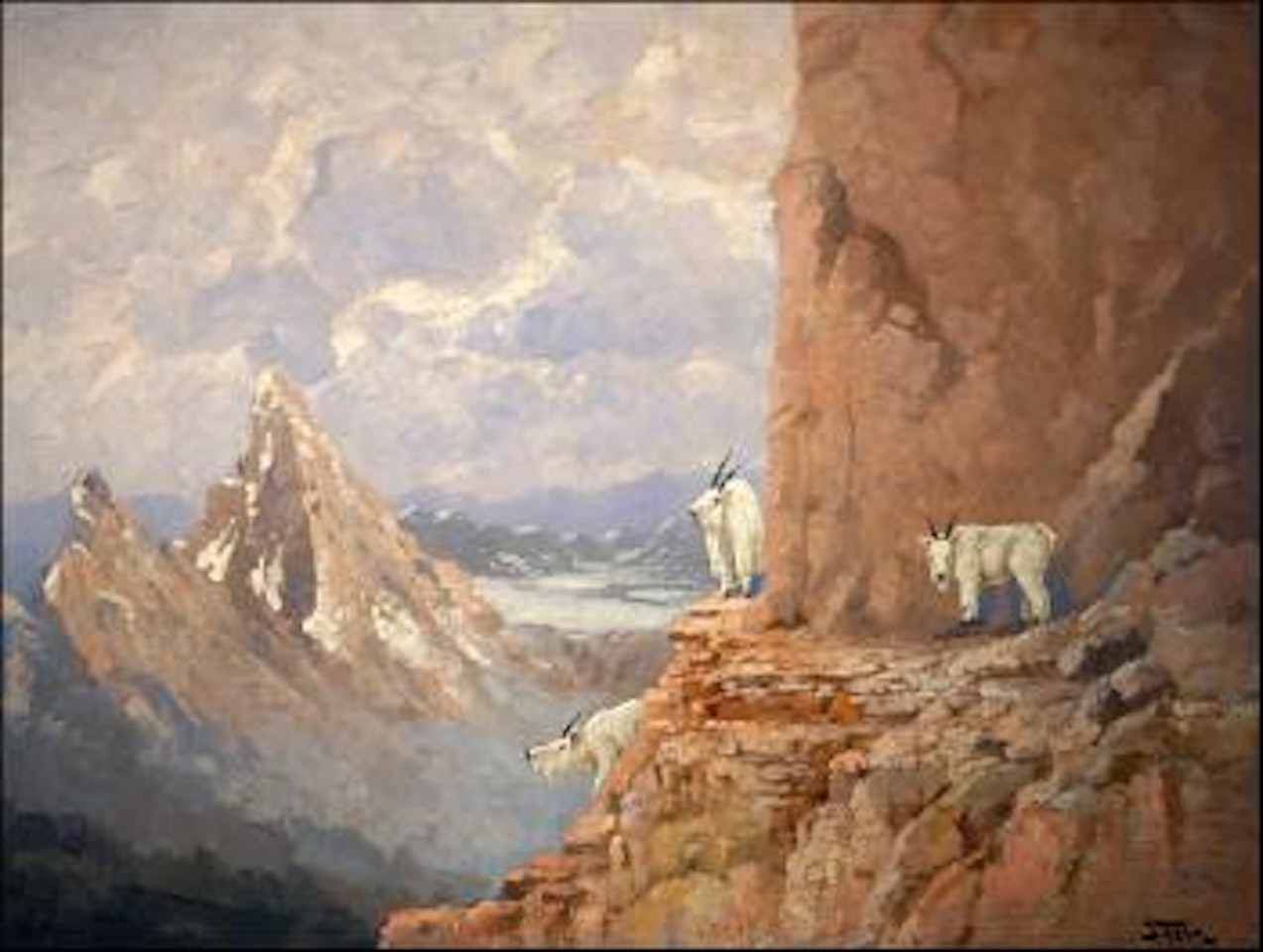 Glacier Park goats by John Fery